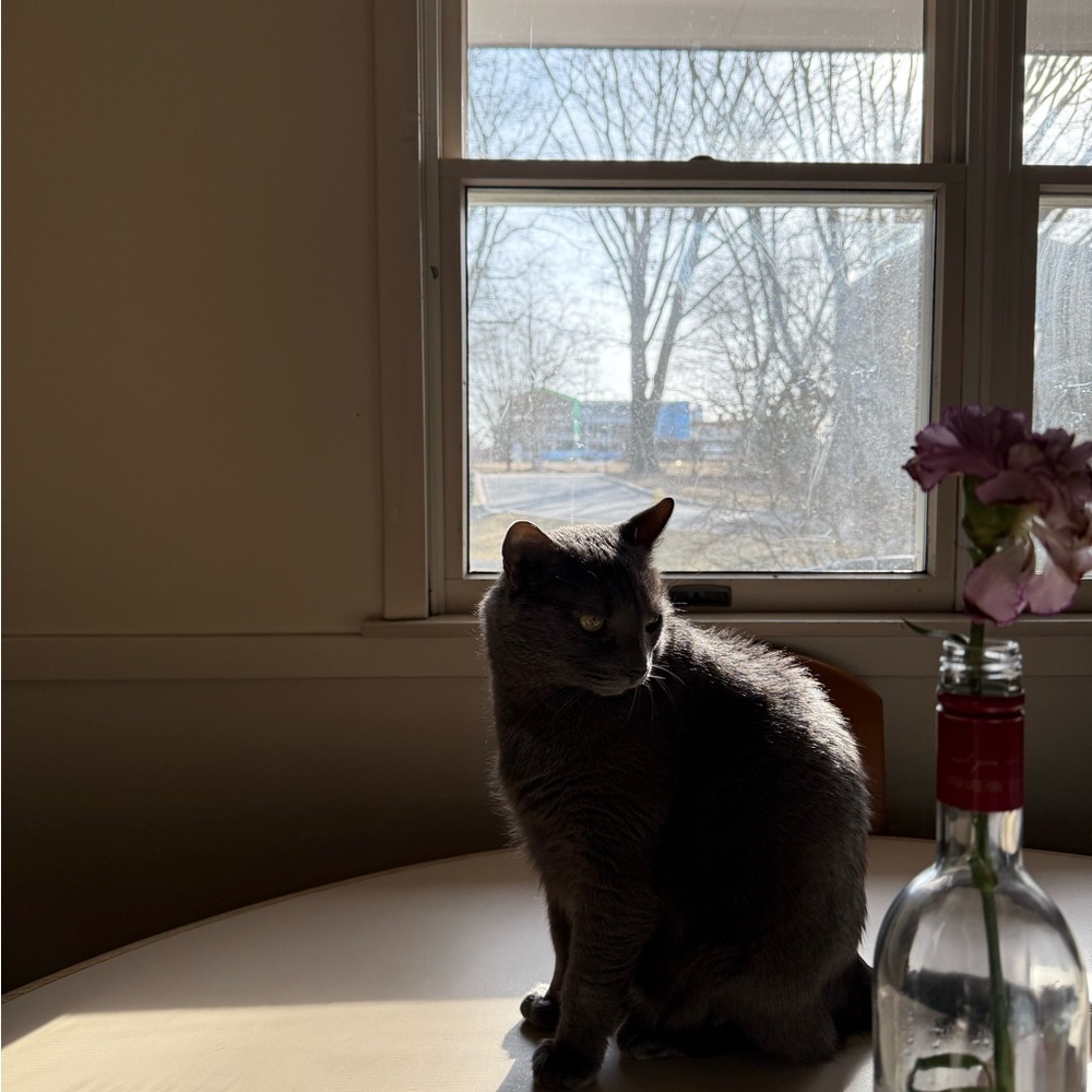 Meet your Posher, Madison
